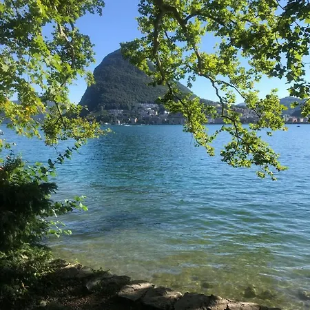 Connie S Free Parking