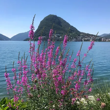 Apartment Connie S Free Parking Lugano