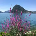 Apartment Connie S Free Parking Lugano